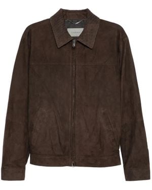 Canali Zip Suede Jacket - Brown