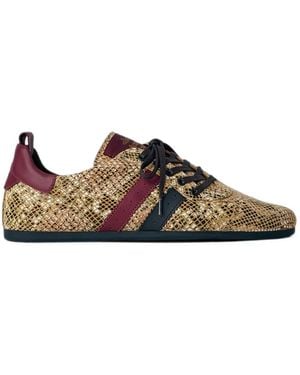 Vivienne Westwood Drunken Snakeskin-Effect Lace-Up Trainers - Brown