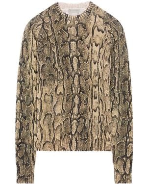 Dries Van Noten スネークプリント プルオーバー - ブラウン