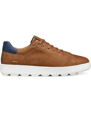 Geox Spherica Ecub-1 B Leather Trainers - Brown
