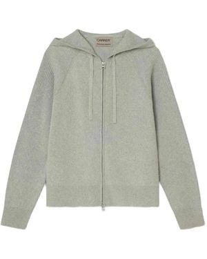 Carrera Matti Zip-Up Hoodie - Grey