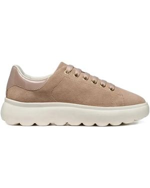 Geox 50Mm Spherica Ec4.1 Sneakers - Brown