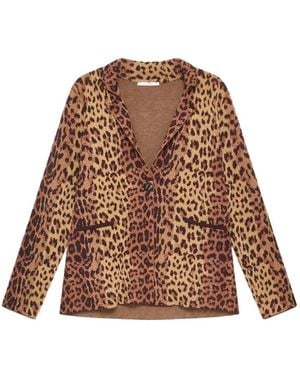 Maliparmi Leopard-Print Jacquard Blazer - Brown