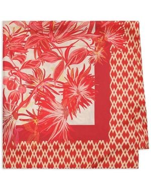 Maliparmi Floral Print Scarf - Red