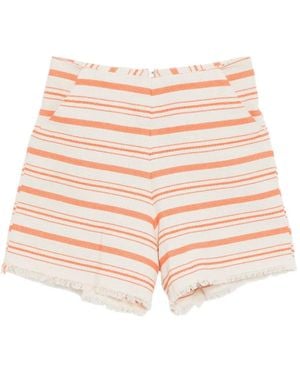 Bambah Alice Shorts - Pink