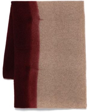 Suzusan Cashmere Shawl - Brown