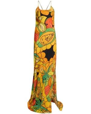 Donde Esteban Frutas Maxi Dress - Metallic