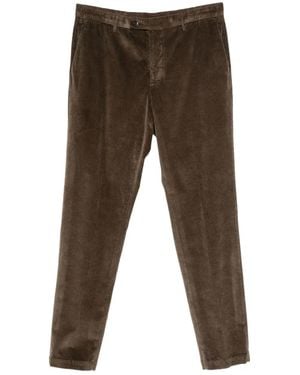 Michael Coal Ribfluwelen Broek - Bruin