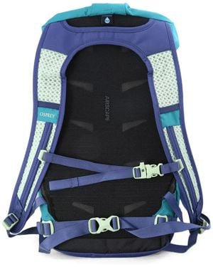 Osprey Daylite Backpack - Blue