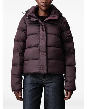 Columbia Amaze Puff Quilted Hooded Jacket - Black