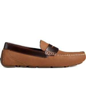 Sperry Top-Sider Davenport Penny Driver Loafers - Brown