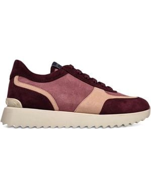Le Silla Suede Trainers - Purple