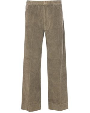 TRUE AVENUE Elasticated-Waist Corduroy Trousers - Grey