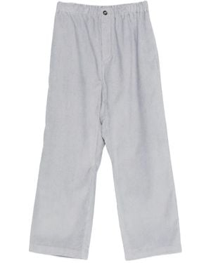 Sofie D'Hoore Pinot Trousers - Grey