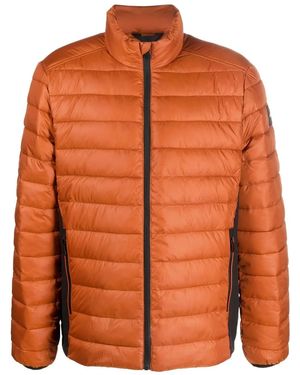 Calvin Klein Zipped-Up Padded Jacket - Orange