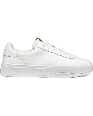 Geox Dynamia Platform Trainers - White