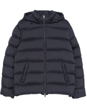 Herno Jackets - Blue