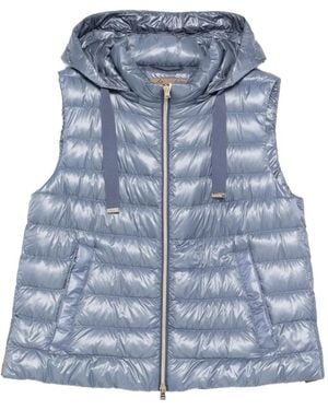 Herno Hooded Gilet - Blue