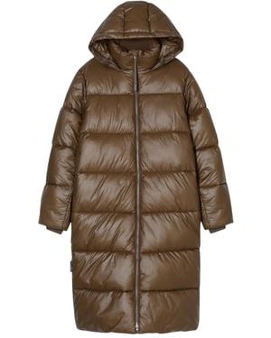 Closed Plumífero con capucha - Marrón