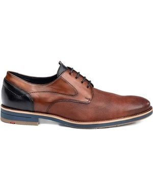Lloyd Harris Geperforeerde Leren Derby Schoenen - Bruin
