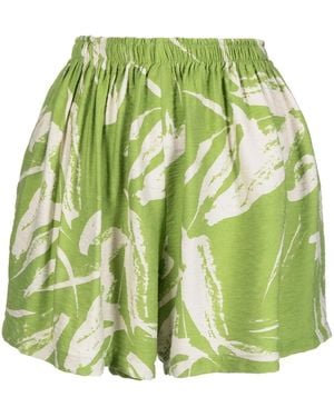 Bambah Linden Leaf-Print Shorts - Green