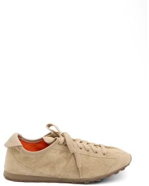 Jacquemus Baskets En Daim À Lacets - Multicolour