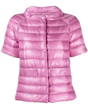 Herno Short Sleeved Padded Jacket - Pink