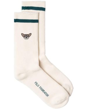 PELO FOUNDATION Calcetines Chihuahua - Blanco