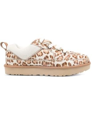UGG Trainers - Brown