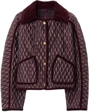 Burberry Quilted Corduroy-Trimmed Puffer Jacket - Purple