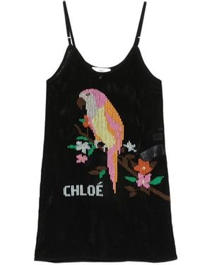 Chloé Embroidered Mesh-Knit Mini Dress - Black