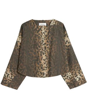 Apparis Poncho Quinn - Verde