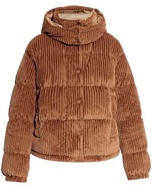 Moncler Daos Jacket - Brown
