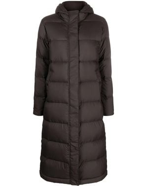 Patagonia Cappotto Imbottito Con Cappuccio - Nero