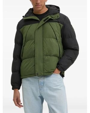 Timberland フーデッド パデッドジャケット - グリーン