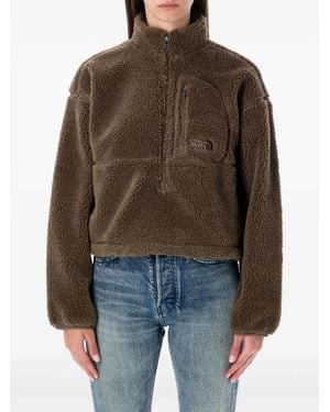 The North Face Extreme Pile-Texture Half-Zip Pullover - Brown