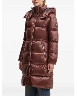 Moose Knuckles Doudoune À Capuche - Marron