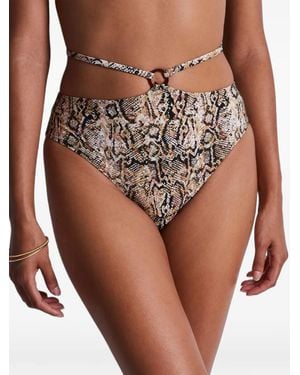 Aubade Fierce Spirit Snake-Print Bikini Briefs - Brown