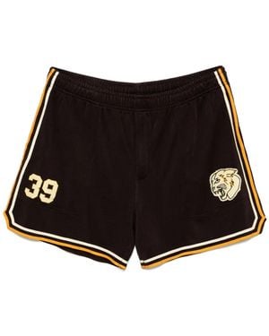 Bode Bobcat ショートパンツ - ブラック