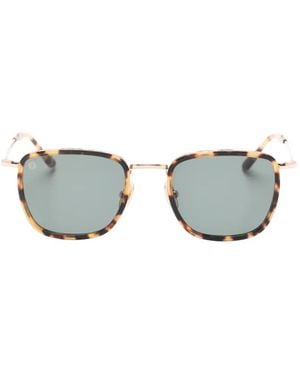 Kyme Ted Sunglasses - Grey