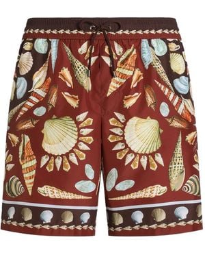 Dolce & Gabbana Zwembroek Met Print - Bruin