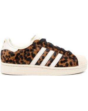 adidas Sneakers Superstar Leopardate - Marrone