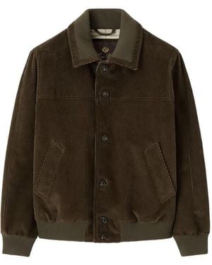 Loro Piana Corduroy Jacket - Brown