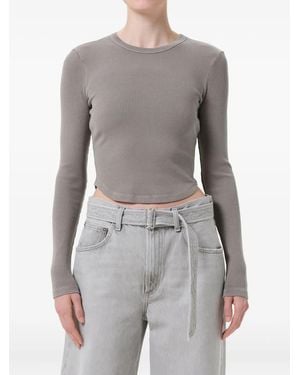 Agolde Neema Ribbed T-Shirt - Grey