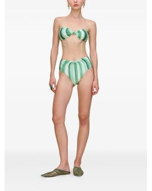 Cult Gaia Oswin Bikinioberteil mit gemalten Streifen - Grün