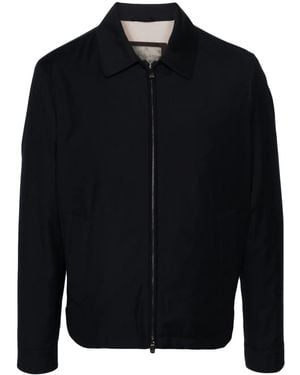 Corneliani スプレッドカラー ジップジャケット - ブルー