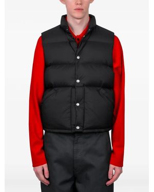 AURALEE Ripstop Gilet - Red