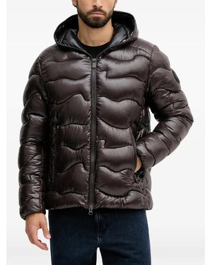 Save The Duck Hooded Padded Jacket - Black