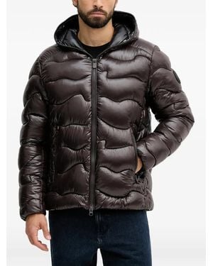 Save The Duck Hooded Padded Jacket - Black