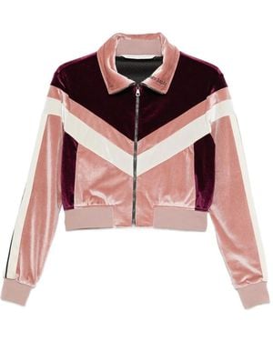Palm Angels Cropped Velvet Jacket - Pink
